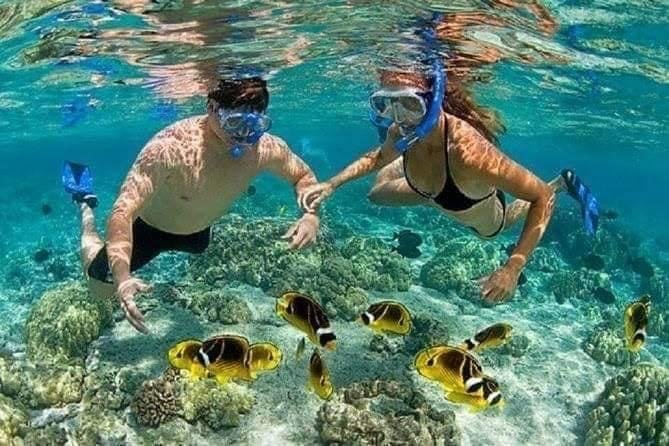 Snorkeling Bali